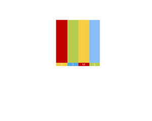 TOON MERCH